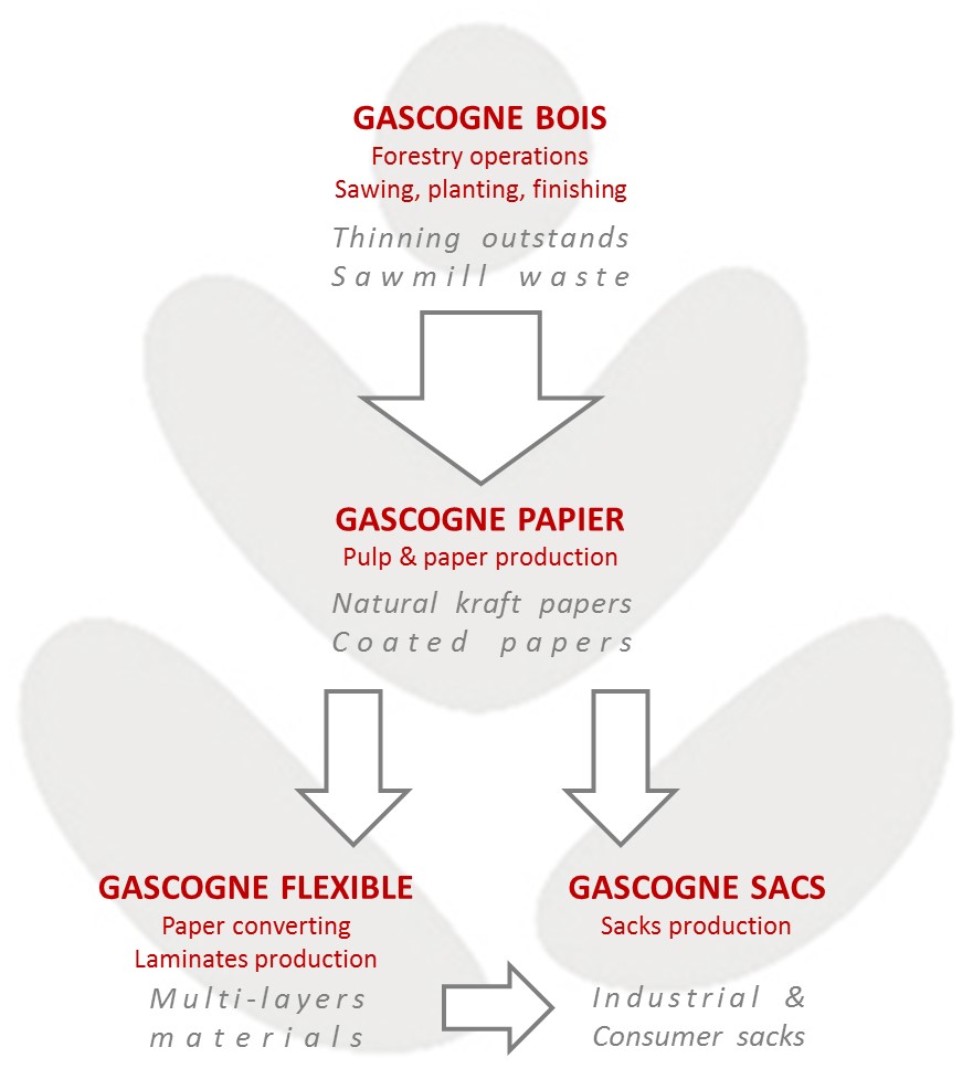 Gascogne, an integrated group